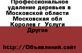 Профессиональное удаление деревьев в Московской области - Московская обл., Королев г. Услуги » Другие   